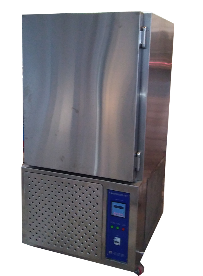Deep Freezer (-20°C to -80°C) Manufacturers